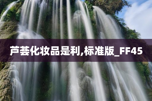 芦荟化妆品是利,标准版_FF45