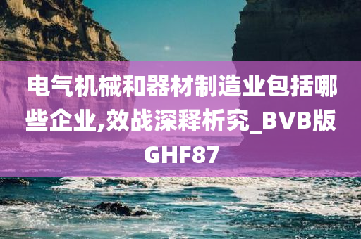 电气机械和器材制造业包括哪些企业,效战深释析究_BVB版GHF87