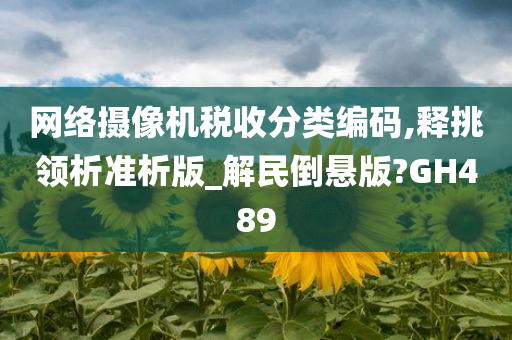 网络摄像机税收分类编码,释挑领析准析版_解民倒悬版?GH489