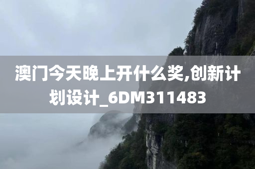 澳门今天晚上开什么奖,创新计划设计_6DM311483