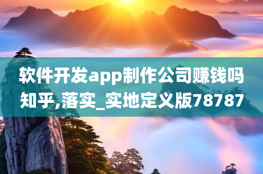 软件开发app制作公司赚钱吗知乎,落实_实地定义版78787