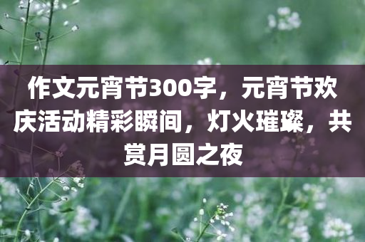 作文元宵节300字，元宵节欢庆活动精彩瞬间，灯火璀璨，共赏月圆之夜