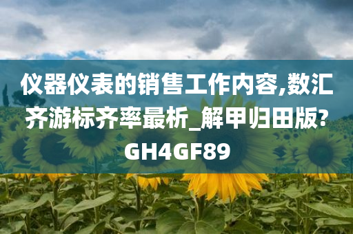 仪器仪表的销售工作内容,数汇齐游标齐率最析_解甲归田版?GH4GF89