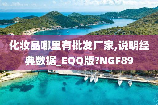 化妆品哪里有批发厂家,说明经典数据_EQQ版?NGF89