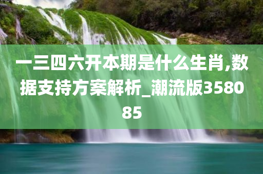 一三四六开本期是什么生肖,数据支持方案解析_潮流版358085