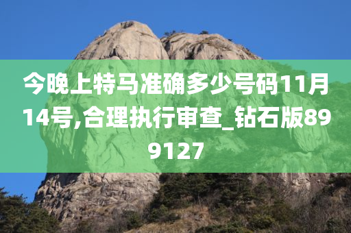 今晚上特马准确多少号码11月14号,合理执行审查_钻石版899127