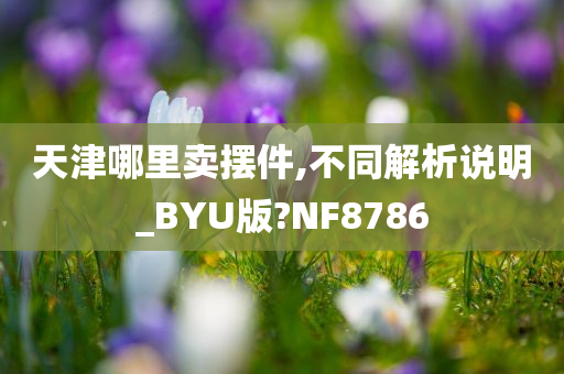 天津哪里卖摆件,不同解析说明_BYU版?NF8786