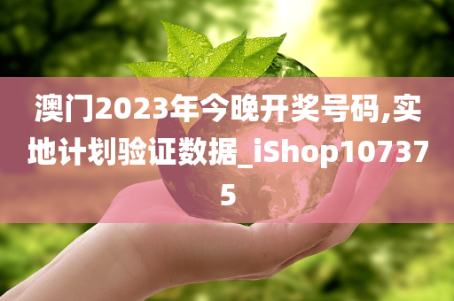 澳门2023年今晚开奖号码,实地计划验证数据_iShop107375