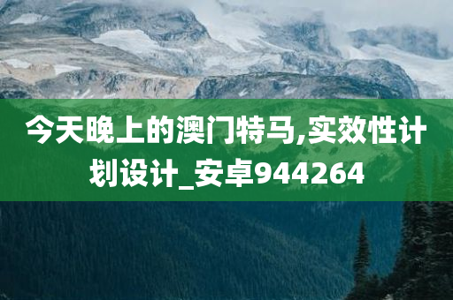 今天晚上的澳门特马,实效性计划设计_安卓944264