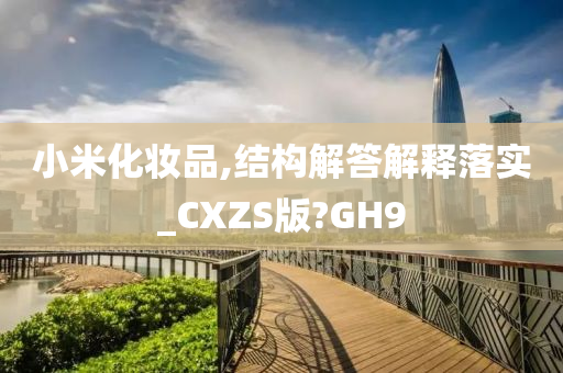 小米化妆品,结构解答解释落实_CXZS版?GH9