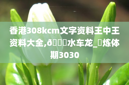 香港308kcm文字资料王中王资料大全,??水车龙_?炼体期3030