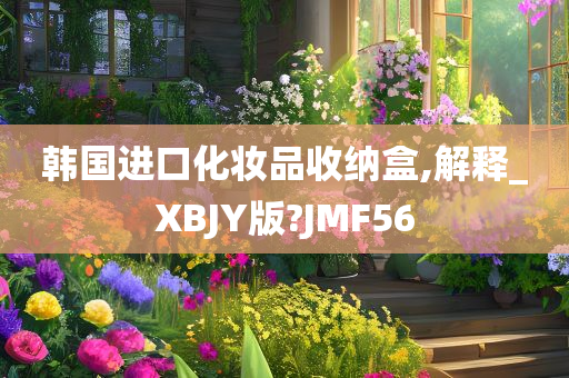 韩国进口化妆品收纳盒,解释_XBJY版?JMF56