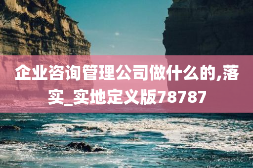 企业咨询管理公司做什么的,落实_实地定义版78787