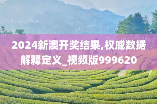 2024新澳开奖结果,权威数据解释定义_视频版999620