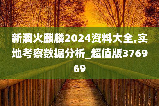 新澳火麒麟2024资料大全,实地考察数据分析_超值版376969