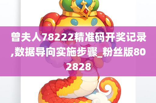 曾夫人78222精准码开奖记录,数据导向实施步骤_粉丝版802828