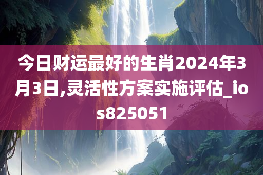 今日财运最好的生肖2024年3月3日,灵活性方案实施评估_ios825051