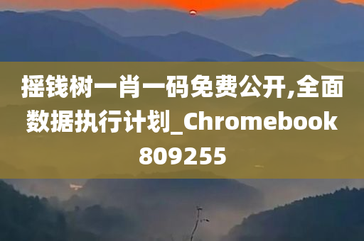 摇钱树一肖一码免费公开,全面数据执行计划_Chromebook809255