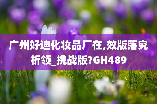 广州好迪化妆品厂在,效版落究析领_挑战版?GH489