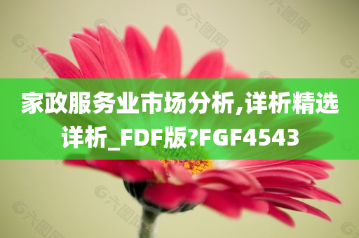 家政服务业市场分析,详析精选详析_FDF版?FGF4543