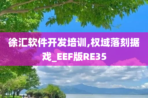 徐汇软件开发培训,权域落刻据戏_EEF版RE35