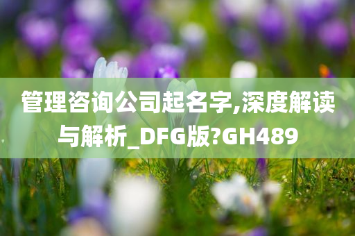 管理咨询公司起名字,深度解读与解析_DFG版?GH489