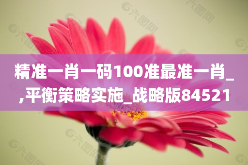 精准一肖一码100准最准一肖_,平衡策略实施_战略版845210