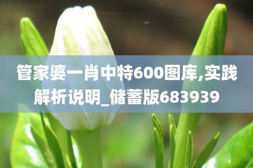 管家婆一肖中特600图库,实践解析说明_储蓄版683939