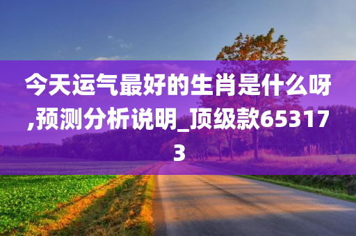 今天运气最好的生肖是什么呀,预测分析说明_顶级款653173