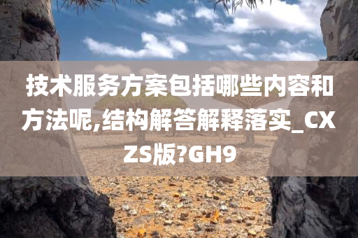 技术服务方案包括哪些内容和方法呢,结构解答解释落实_CXZS版?GH9