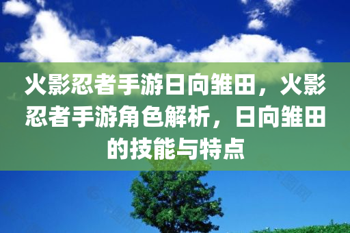 火影忍者手游日向雏田，火影忍者手游角色解析，日向雏田的技能与特点