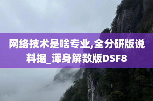 网络技术是啥专业,全分研版说料据_浑身解数版DSF8