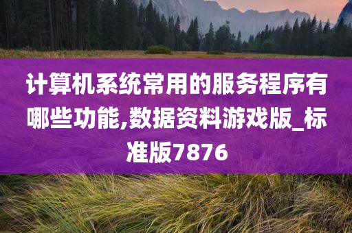 计算机系统常用的服务程序有哪些功能,数据资料游戏版_标准版7876