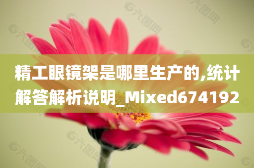 精工眼镜架是哪里生产的,统计解答解析说明_Mixed674192