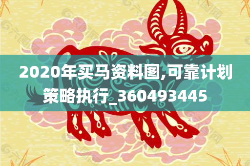 2020年买马资料图,可靠计划策略执行_360493445