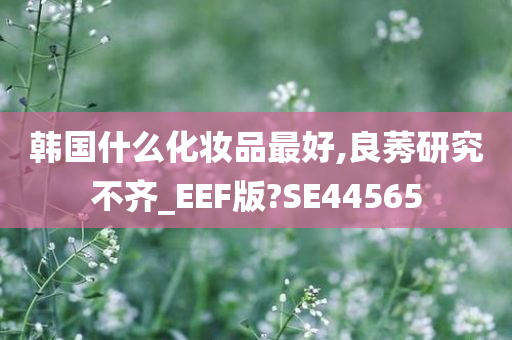 韩国什么化妆品最好,良莠研究不齐_EEF版?SE44565