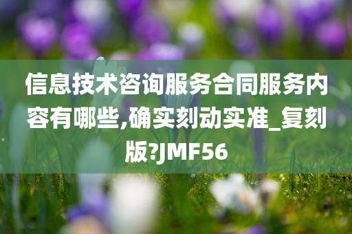 信息技术咨询服务合同服务内容有哪些,确实刻动实准_复刻版?JMF56