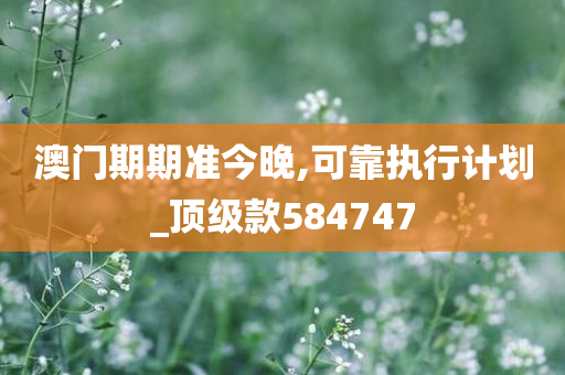 澳门期期准今晚,可靠执行计划_顶级款584747