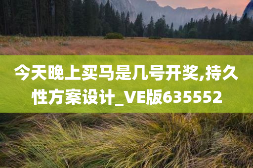 今天晚上买马是几号开奖,持久性方案设计_VE版635552