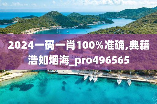 2024一码一肖100%准确,典籍浩如烟海_pro496565