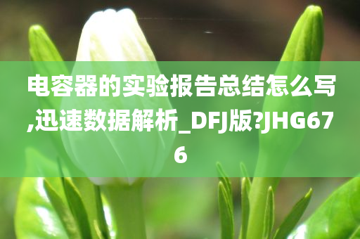 电容器的实验报告总结怎么写,迅速数据解析_DFJ版?JHG676