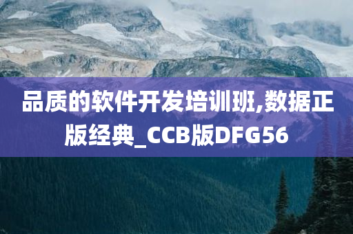 品质的软件开发培训班,数据正版经典_CCB版DFG56