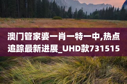 澳门管家婆一肖一特一中,热点追踪最新进展_UHD款731515