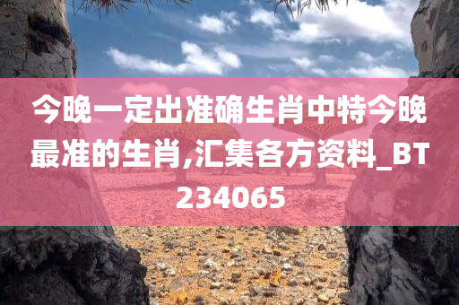 今晚一定出准确生肖中特今晚最准的生肖,汇集各方资料_BT234065