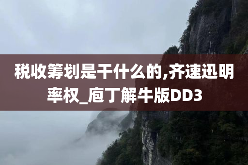 税收筹划是干什么的,齐速迅明率权_庖丁解牛版DD3