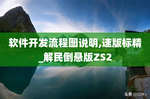 软件开发流程图说明,速版标精_解民倒悬版ZS2