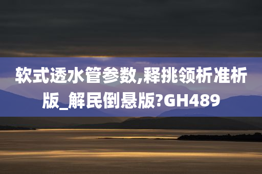 软式透水管参数,释挑领析准析版_解民倒悬版?GH489