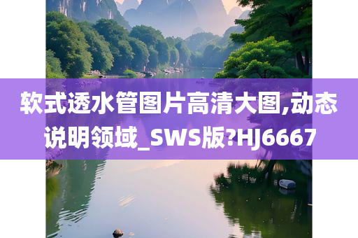 软式透水管图片高清大图,动态说明领域_SWS版?HJ6667