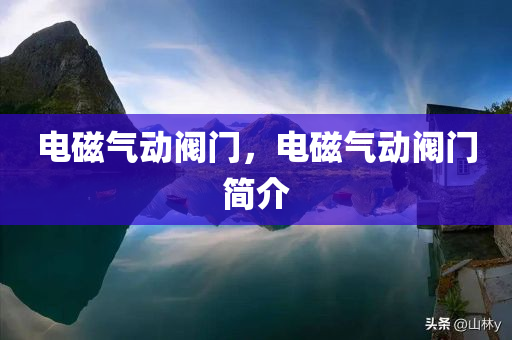 电磁气动阀门，电磁气动阀门简介