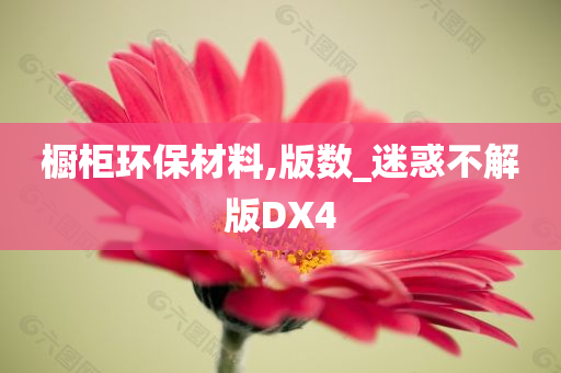 橱柜环保材料,版数_迷惑不解版DX4